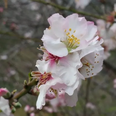 Apartment Rua De Arneiro De Salir